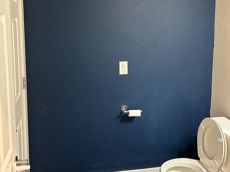Before: half bathroom wall painted dark navy blue behind the toilet, with a light switch and toilet paper holder.